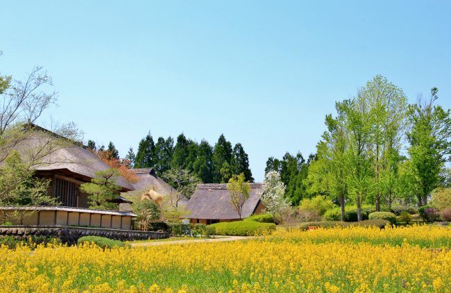 countryside2